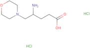 4-Amino-5-(morpholin-4-yl)pentanoic acid dihydrochloride