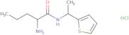 2-Amino-N-[1-(thiophen-2-yl)ethyl]pentanamide hydrochloride