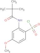 2-(2,2-Dimethylpropanamido)-4-methoxybenzene-1-sulfonyl chloride
