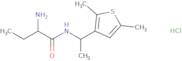 2-Amino-N-[1-(2,5-dimethylthiophen-3-yl)ethyl]butanamide hydrochloride