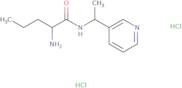 2-Amino-N-[1-(pyridin-3-yl)ethyl]pentanamide dihydrochloride