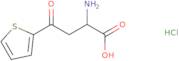 2-Amino-4-oxo-4-(thiophen-2-yl)butanoic acid hydrochloride