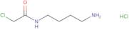 N-(4-Aminobutyl)-2-chloroacetamide hydrochloride