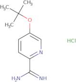 5-(tert-Butoxy)pyridine-2-carboximidamide hydrochloride