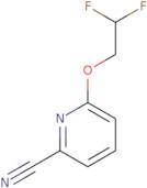 6-(2,2-Difluoroethoxy)pyridine-2-carbonitrile