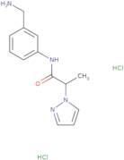 N-[3-(Aminomethyl)phenyl]-2-(1H-pyrazol-1-yl)propanamide dihydrochloride