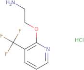 2-{[3-(Trifluoromethyl)pyridin-2-yl]oxy}ethan-1-amine hydrochloride