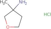 3-Methyloxolan-3-amine hydrochloride