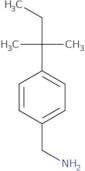 [4-(2-Methylbutan-2-yl)phenyl]methanamine