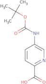 5-{[(tert-butoxy)carbonyl]amino}pyridine-2-carboxylic acid