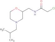 2-Chloro-N-{[4-(2-methylpropyl)morpholin-2-yl]methyl}acetamide