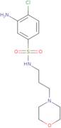 3-Amino-4-chloro-N-[3-(morpholin-4-yl)propyl]benzene-1-sulfonamide