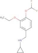 N-[4-(Difluoromethoxy)-3-ethoxybenzyl]cyclopropanamine