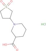 1-(1,1-Dioxo-1λ6-thiolan-3-yl)piperidine-3-carboxylic acid hydrochloride