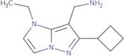 (6-Cyclobutyl-1-ethyl-1H-imidazo[1,2-b]pyrazol-7-yl)methanamine