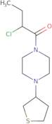 2-Chloro-1-[4-(thiolan-3-yl)piperazin-1-yl]butan-1-one