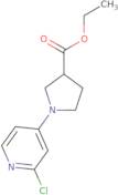 Ethyl 1-(2-chloropyridin-4-yl)pyrrolidine-3-carboxylate