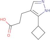 3-(3-Cyclobutyl-1H-pyrazol-4-yl)propanoic acid