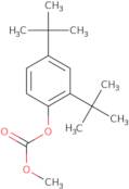 2,4-di-tert-butylphenyl methyl carbonate