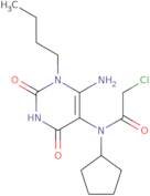 N-(6-Amino-1-butyl-2,4-dioxo-1,2,3,4-tetrahydropyrimidin-5-yl)-2-chloro-N-cyclopentylacetamide