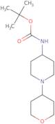 tert-Butyl N-[1-(oxan-4-yl)piperidin-4-yl]carbamate