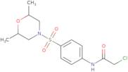 2-Chloro-N-{4-[(2,6-dimethylmorpholin-4-yl)sulfonyl]phenyl}acetamide