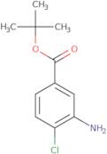 tert-Butyl 3-amino-4-chlorobenzoate