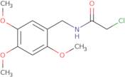 2-Chloro-N-[(2,4,5-trimethoxyphenyl)methyl]acetamide