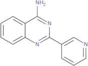 2-Pyridin-3-yl-quinazolin-4-ylamine