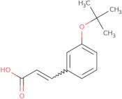 (E)-3-(3-tert-Butoxyphenyl)acrylic acid