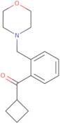 Cyclobutyl 2-(morpholinomethyl)phenyl ketone