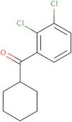 Cyclohexyl 2,3-dichlorophenyl ketone