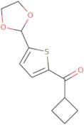 Cyclobutyl 5-(1,3-dioxolan-2-yl)-2-thienyl ketone