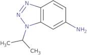 5-(1,3-Dioxolan-2-yl)-2-thienyl 1-methylbutyl ketone