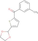 5-(1,3-Dioxolan-2-yl)-2-(3-methylbenzoyl)thiophene