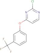 2',3'-Dichloro-3-(4-methoxyphenyl)propiophenone