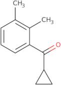 Cyclopropyl 2,3-dimethylphenyl ketone