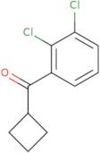 Cyclobutyl 2,3-dichlorophenyl ketone