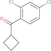 Cyclobutyl 2,4-dichlorophenyl ketone