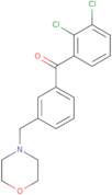 2,3-Dichloro-3'-morpholinomethyl benzophenone