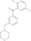 2,5-Dichloro-3'-morpholinomethyl benzophenone