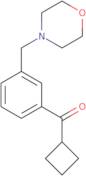 Cyclobutyl 3-(morpholinomethyl)phenyl ketone