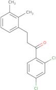 2',4'-Dichloro-3-(2,3-dimethylphenyl)propiophenone