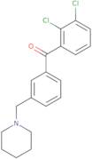 2,3-Dichloro-3'-piperidinomethyl benzophenone