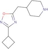 4-[(3-Cyclobutyl-1,2,4-oxadiazol-5-yl)methyl]piperidine