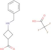 cis-3-benzylaminocyclobutanecarboxylic acid tfa