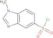 1-Methyl-1H-1,3-benzodiazole-5-sulfonyl chloride