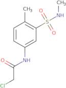 2-Chloro-N-[4-methyl-3-(methylsulfamoyl)phenyl]acetamide