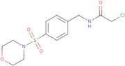 2-Chloro-N-{[4-(morpholine-4-sulfonyl)phenyl]methyl}acetamide