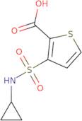 3-(Cyclopropylsulfamoyl)thiophene-2-carboxylic acid